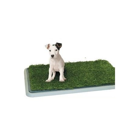 Potty Patch kisállat wc