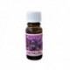 Illóolaj - Kakukkfű - 10 ml - Michal