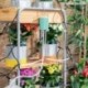 Automata csepegtető öntözőrendszer kaspóba - InnovaGoods